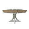 Laurel Foundry Modern Farmhouse® Xochitl Extendable Pedestal Dining ...